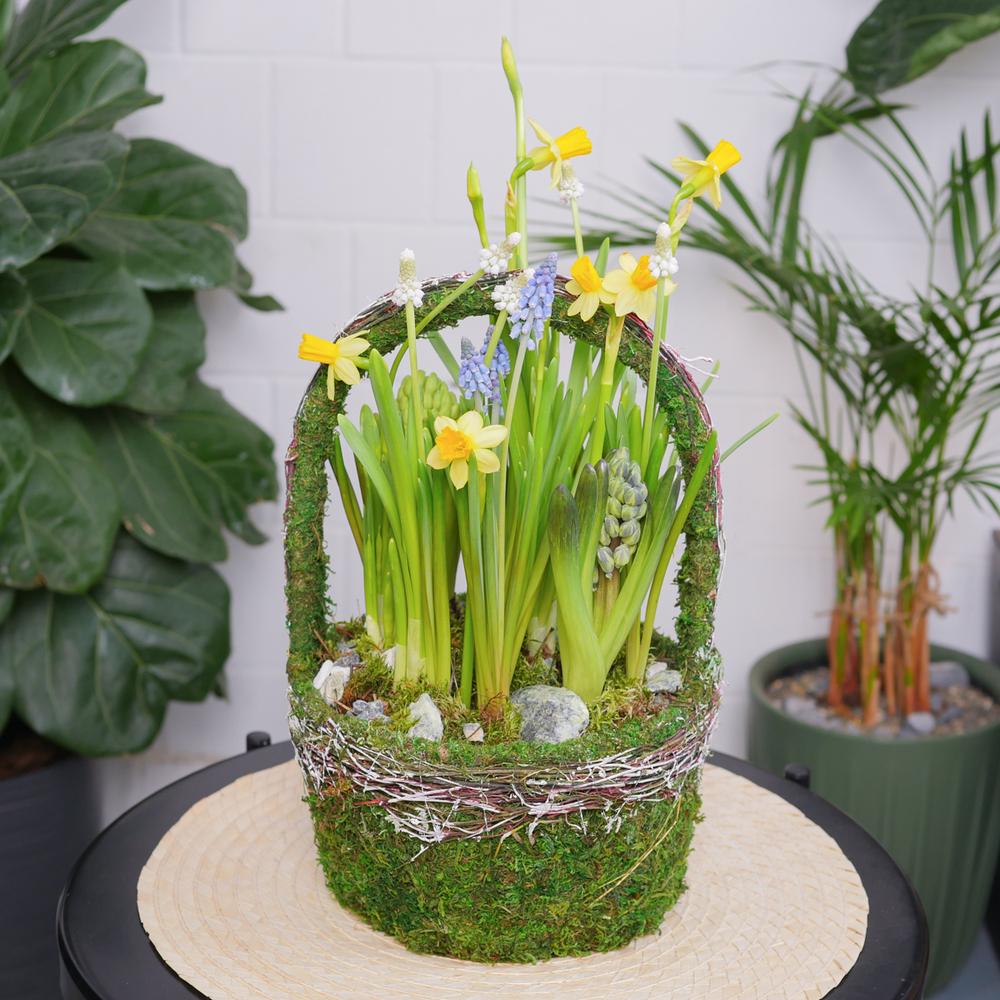 Композиция с первоцветами Лесная корзина L