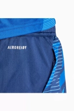 Шорты adidas Tiro 24 Competition Training