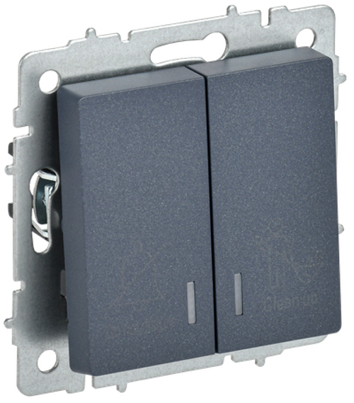 BRITE Выключатель 2-клавишный с индикацией для отелей 10А ВС10-2-9-БрМ маренго IEK