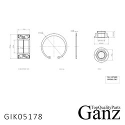 Подшипник ступицы передний FORD MONDEO 2/3 -АБС GANZ GIK05178