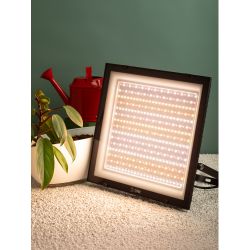 Фитопрожектор для растений светодиодный ЭРА FITO-200W-Ra90-LED полного спектра, профессиональный 200 Вт