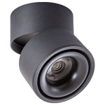 Накладной светильник Arte Lamp Arcturus A7715PL-1BK