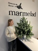 Елка декоративная h-100см