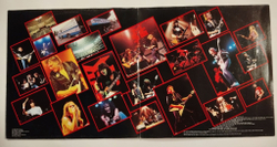 Винтажная виниловая пластинка LP The Michael Schenker Group One Night At Budokan (Germany 1982)