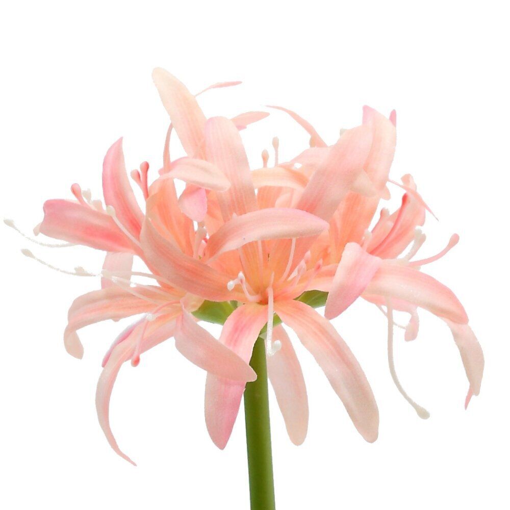 GAEM Цветы искусственные "Букет", L11 W11 H52 см