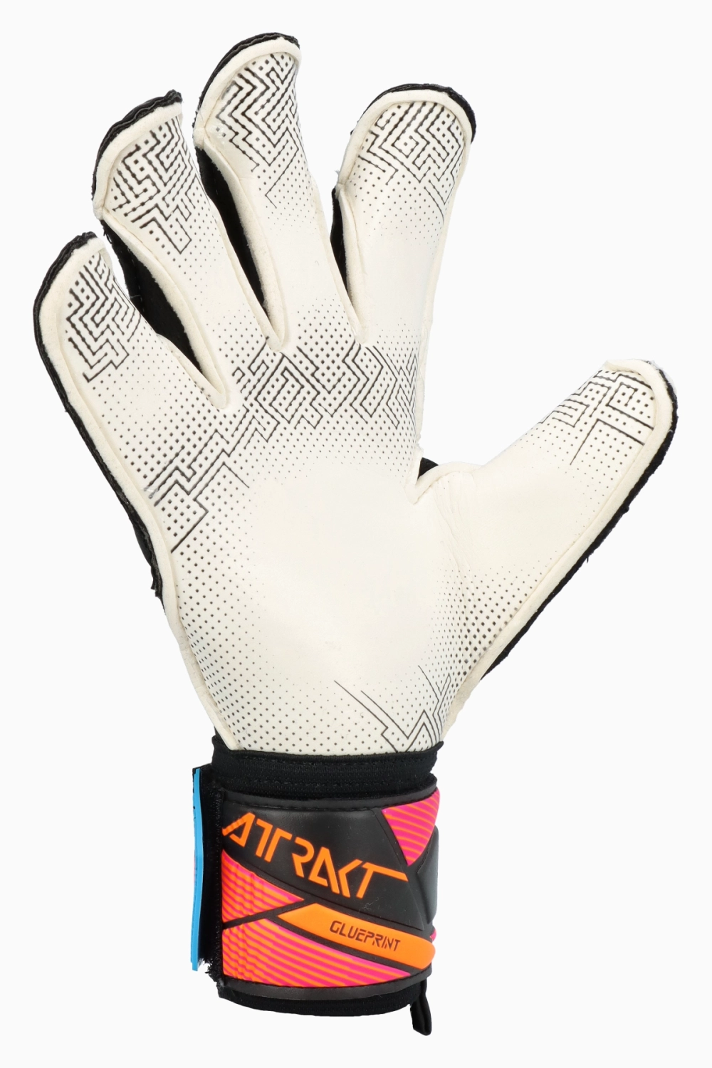 Вратарские перчатки Reusch Attrakt Advance Evolution Glueprint - черный