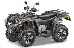 Квадроцикл STELS ATV 600 Y Leopard (ПСМ)