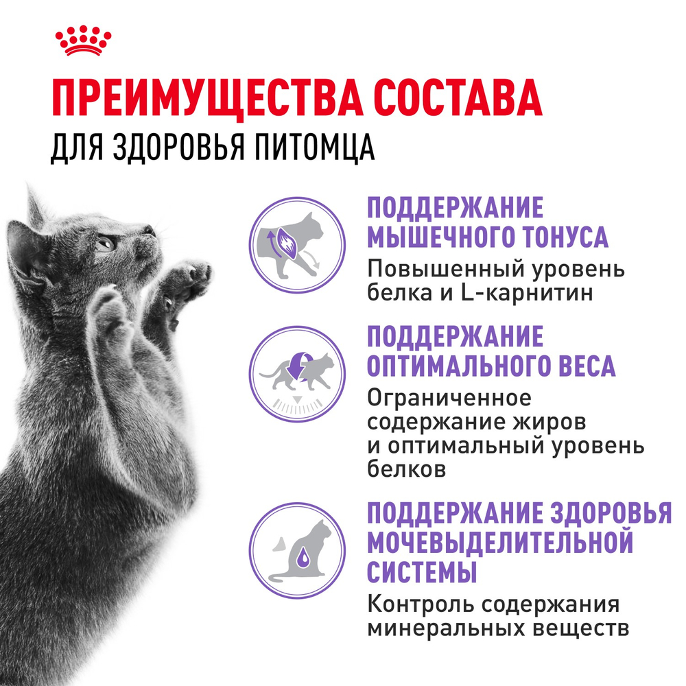 Royal Canin Sterilised 37 Стерилайзд Корм сухой для взрослых стерилизованных кошек в возрасте от 1 года до 7 лет 4кг