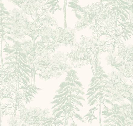 Ambient vol4 Лесной этюд