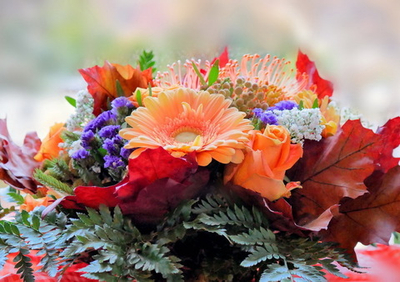 Фото на стекле "Пёстрое настроение" Декор для дома, подарок