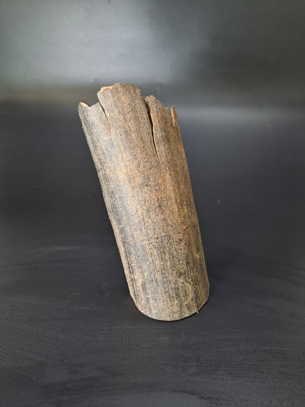 Бивень мамонта для коллекции