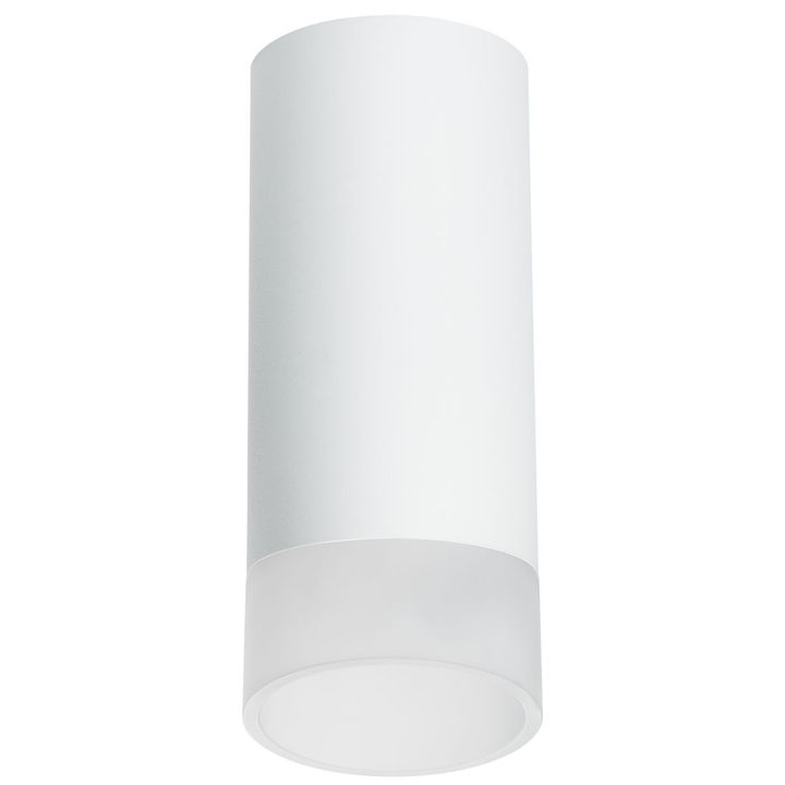 Комплект с потолочным светильником Lightstar Rullo (216486+202481) R648681