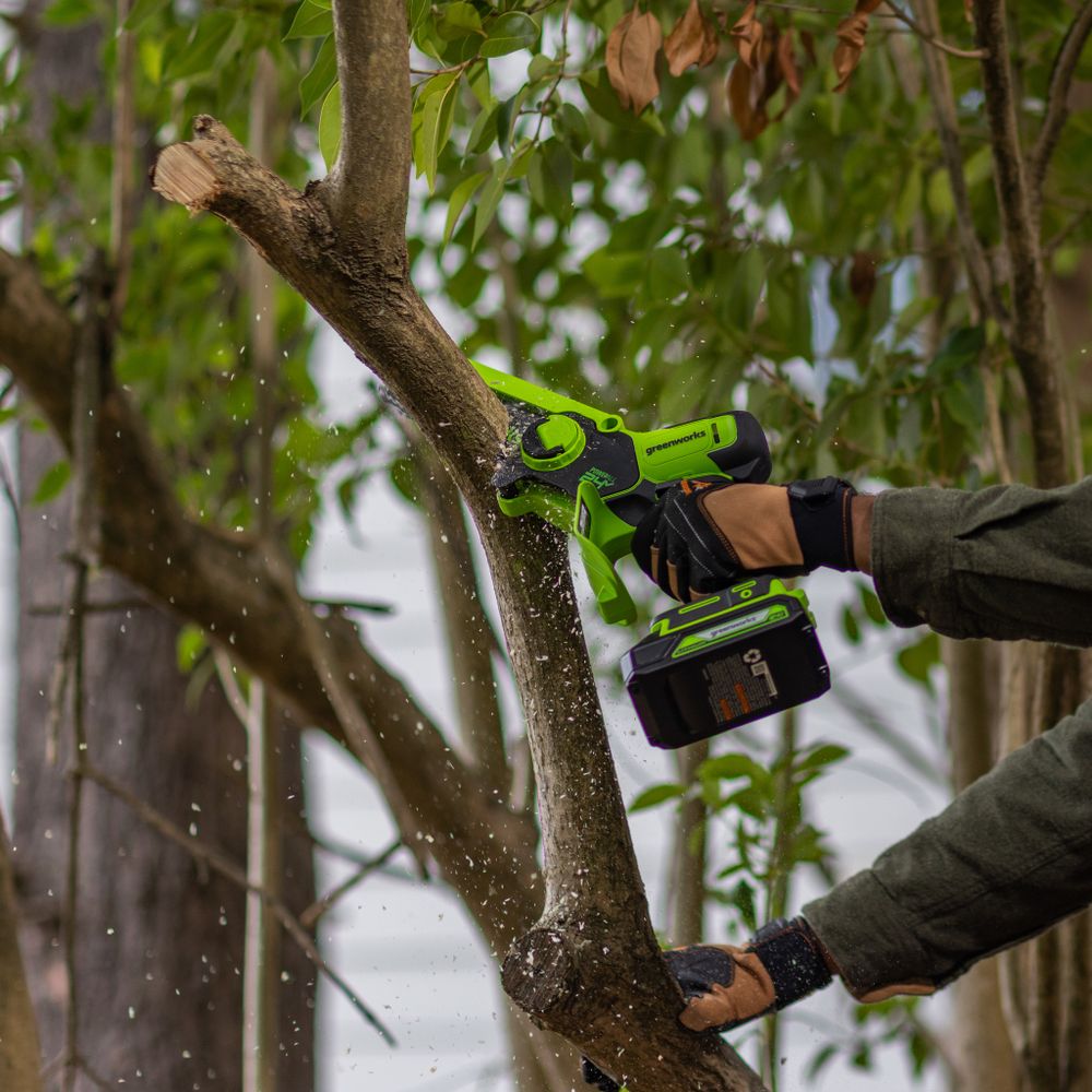 Цепная мини пила аккумуляторная Greenworks GD24CSMNX Арт. 2008707UA, 24V, 15см, бесщеточная, в комплекте АКБ 2 А·ч и ЗУ в сумке