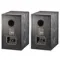 Radiotehnika Alfa 1.01 MKII Black Ash