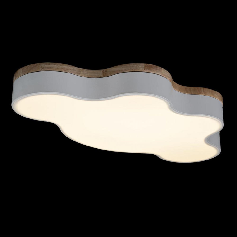 Потолочный светодиодный светильник Loft It Axel 10005/36 White