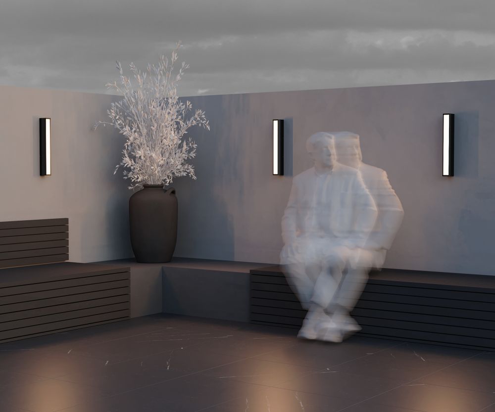 Уличный настенный светодиодный светильник Maytoni   O571WL-L20B3K