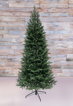 Ель Швейцарская стройная Black Box Cl 185см зеленая литая