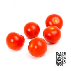 Никсарти F1 семена томата (Rijk Zwaan / Райк Цваан)