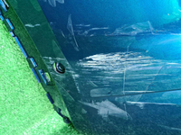 Бампер задний Geely Monjaro (2021-н.в.)
