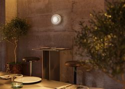 Накладной светильник Maytoni Lulua MOD435WL-01W