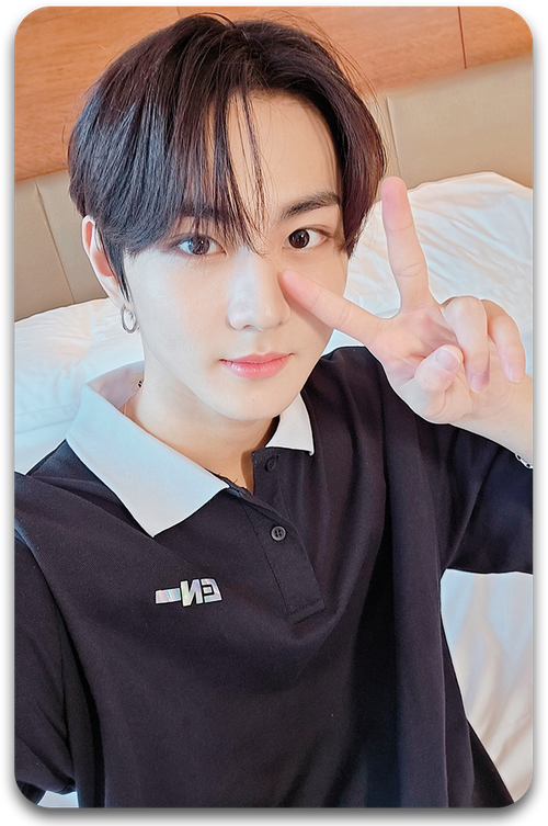 Карта / ENHYPEN #165