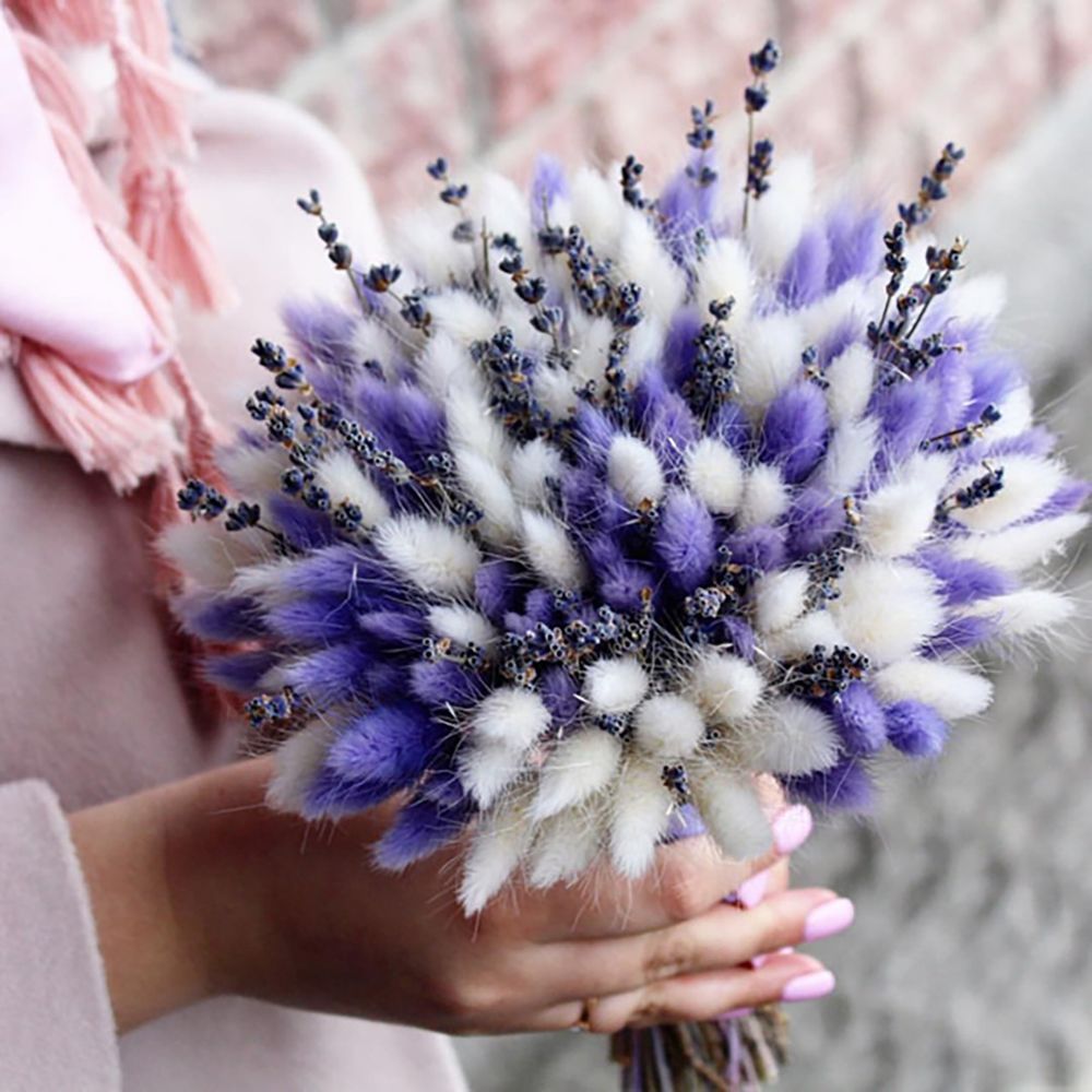 Букет сухоцветов из лагурус, лаванды - синева