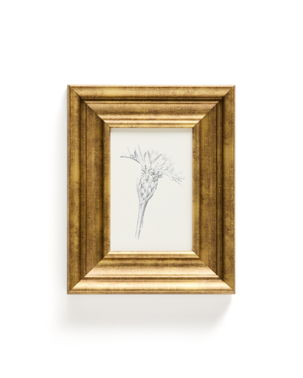 Картина Yalira с ботанической иллюстрацией 32,8 x 70 см