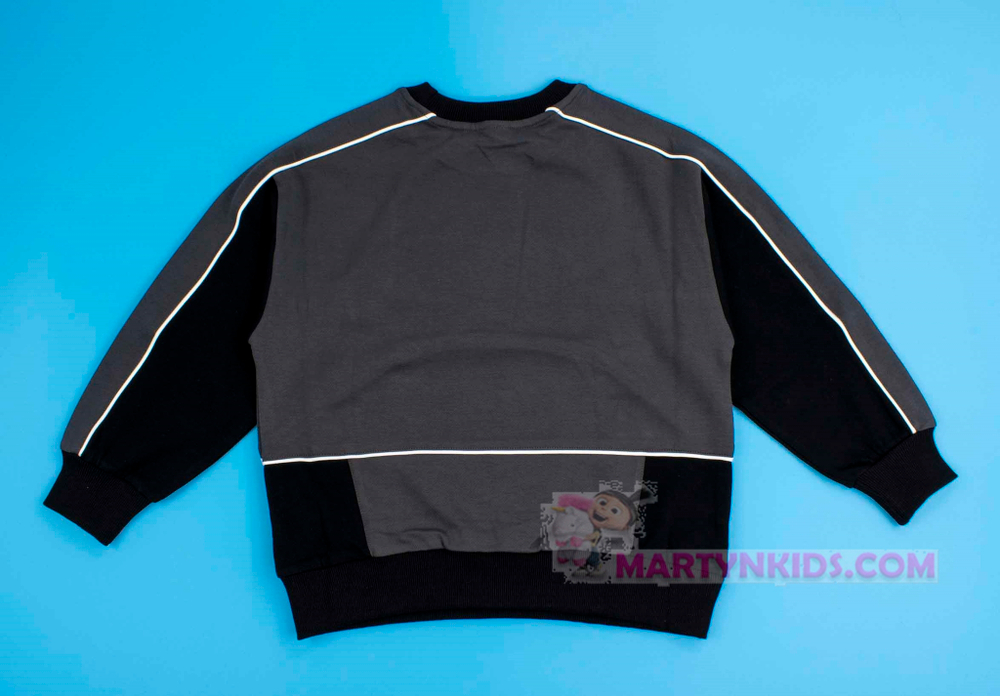 толстовка INDIANAPOLIS "500"  4973