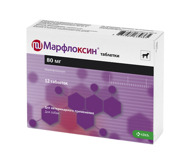 Антибиотики