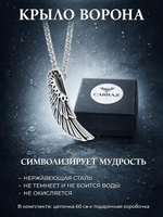 Кулон из стали "Крыло ворона" на цепочке