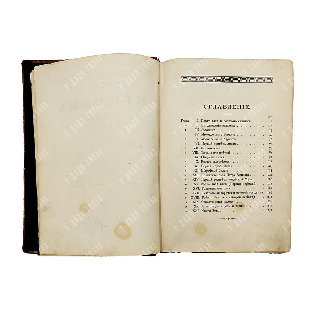 Авенариус В. П. Отроческие годы Пушкина. — СПб. Типография Н. А. Лебедева, 1891