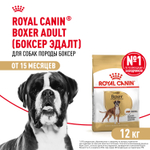 Сухой корм Royal Canin Boxer Adult для взрослых и стареющих собак породы боксер от 15 месяцев, 12 кг
