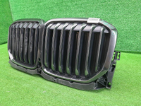 Решетка радиатора BMW X7 G07 (2019-2022)