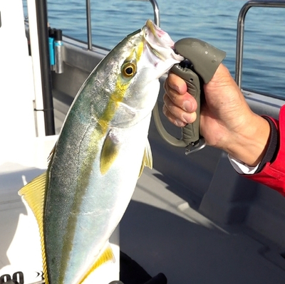 Захват DAIICHISEIKO JAW GRIP MC