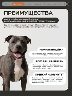 Корм сухой для пожилых собак породы Стаффордширский бультерьер старше 5 лет, с индейкой, 12 кг, QUATTRO