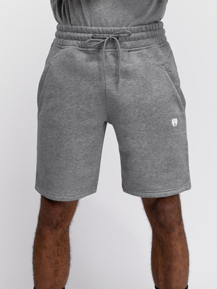 Шорты спортивные Venum Silent Power Cloud Grey