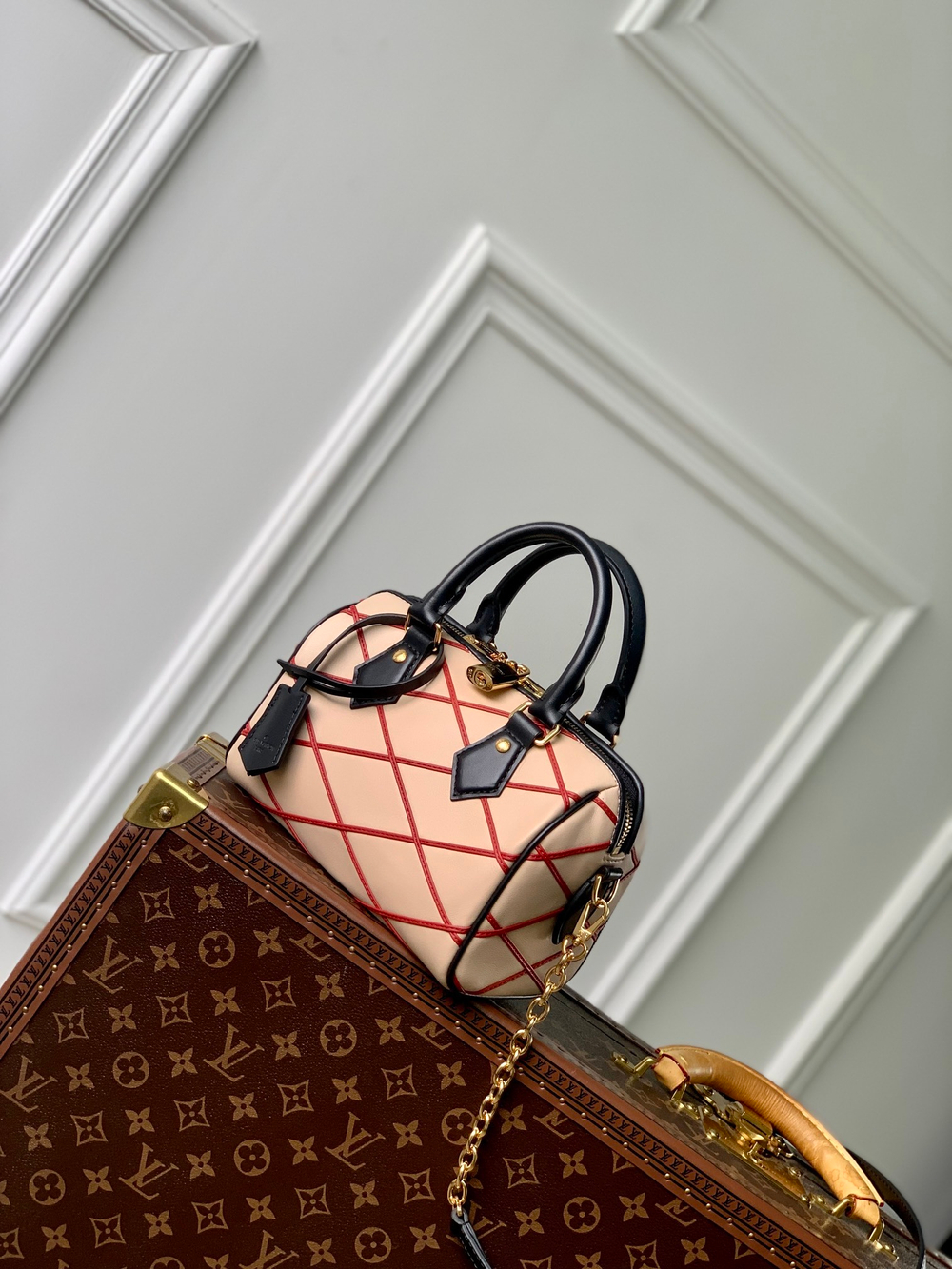 Louis Vuitton Speedy 20