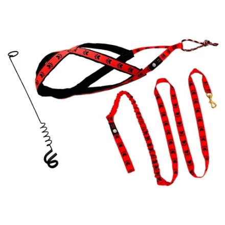 Велоудочка с комплектом амуниции для байкджоринга и догскутеринга Лапки