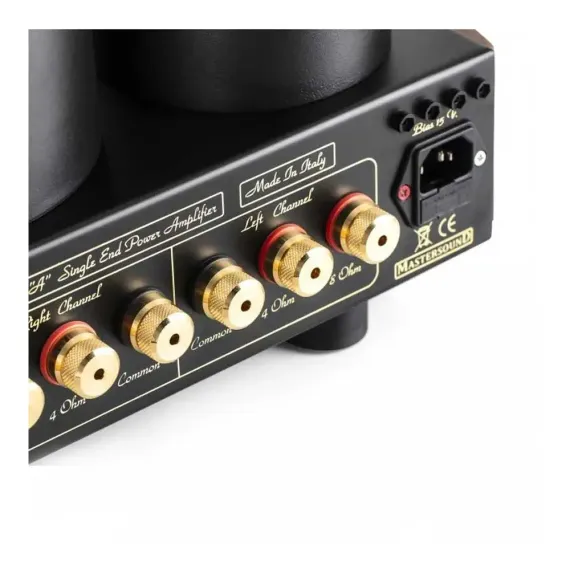 Mastersound Evo 300B Black Wood