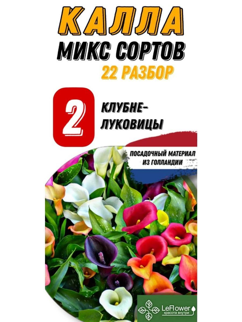 Калла клубнелуковица 2шт(разбор22)