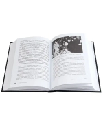 Ослепительный миг