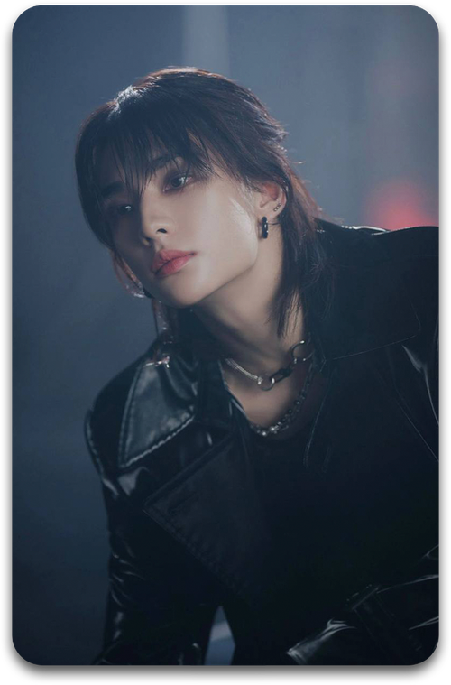 Карта / STRAY KIDS #2795