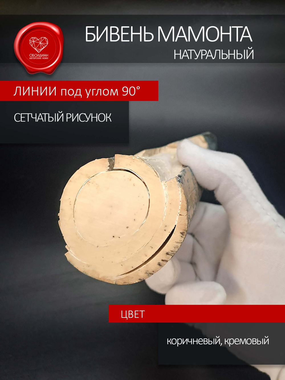 Острие бивня мамонта для коллекции