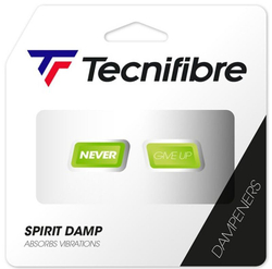 Виброгаситель Tecnifibre Spirit Damp Fight Smart 2P