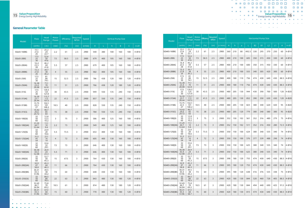 Циркуляционный насос с сухим ротором с фланцевым соединением серии SGW-G, Shimge (DN300)