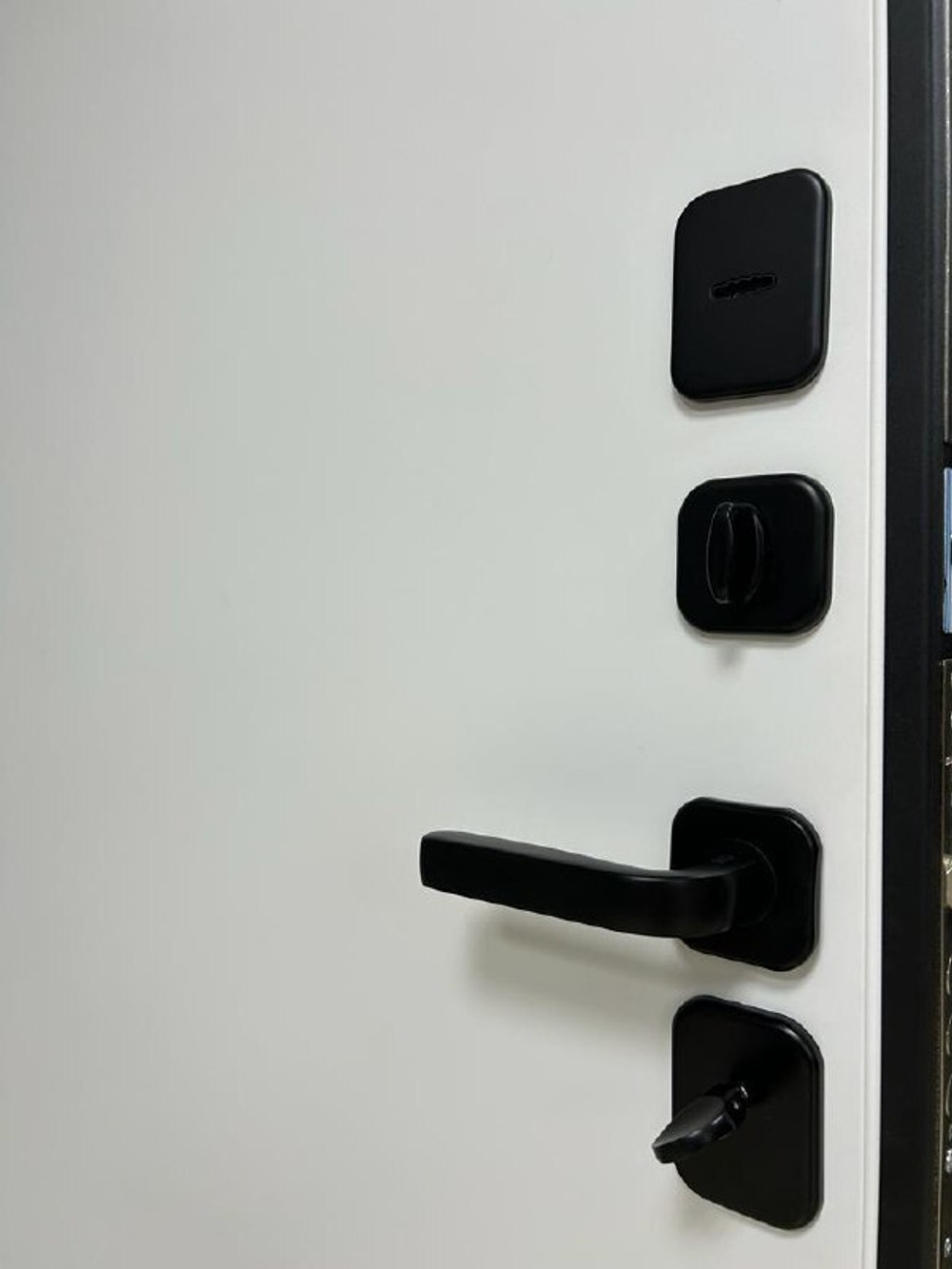 Дверь входная Деус