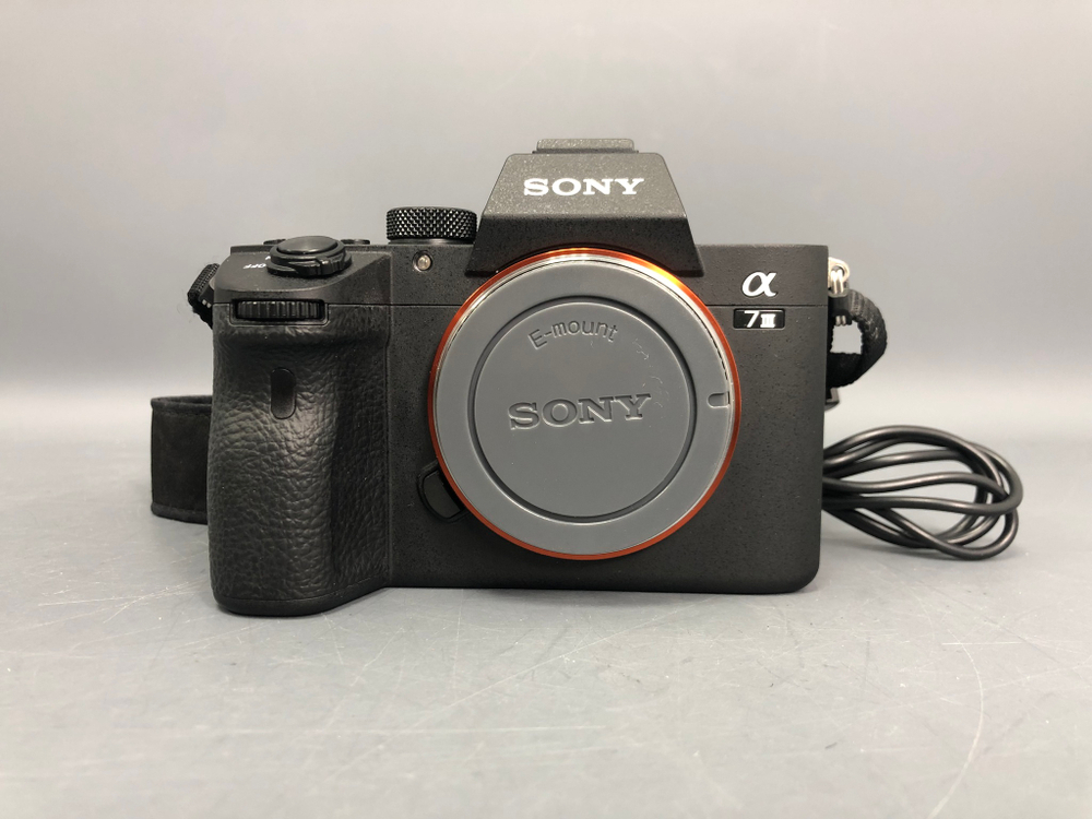 Sony A7 III (10.010 кадров)