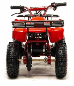 Электроквадроцикл Motoland ATV E009 1000W