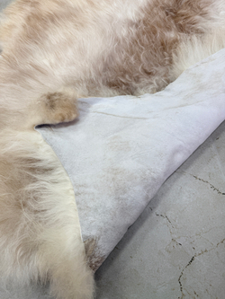 Шкура коврик меховой прикроватный овчина, 120х65 см.