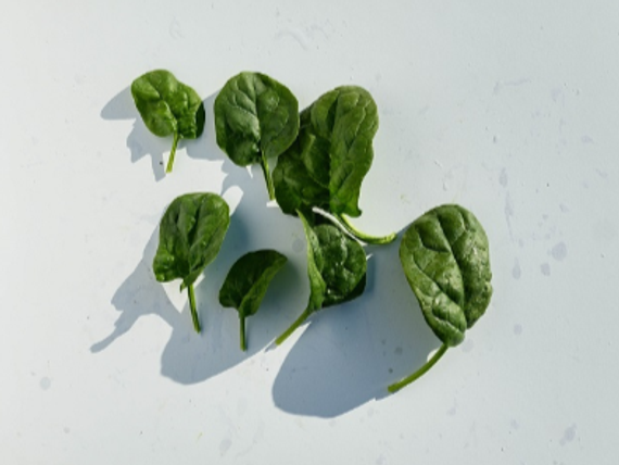 Кросстрек F1 семена шпината (Enza Zaden / Энза Заден) – фото 2